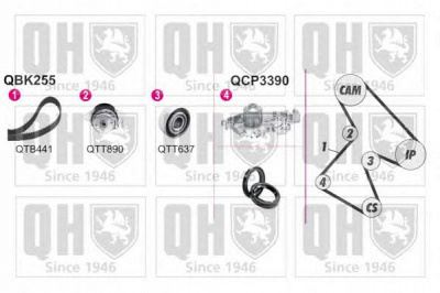 QUINTON HAZELL qbpk2550 -  Водяной насос + комплект зубчатого ремня